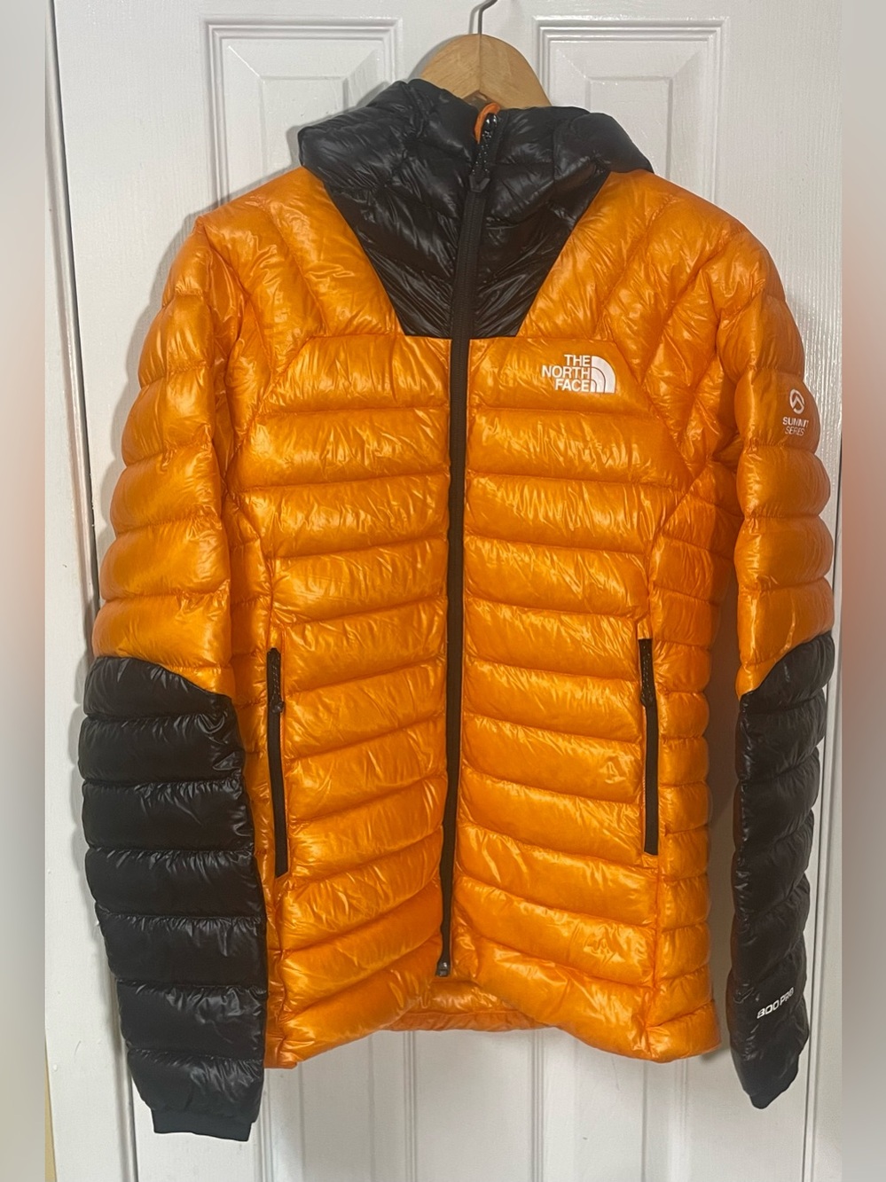 The North Face Jacket Summit Series L3 Down Hoodie 800 Pro Women’s Medium